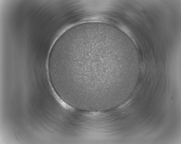 X0000071831482200607072157