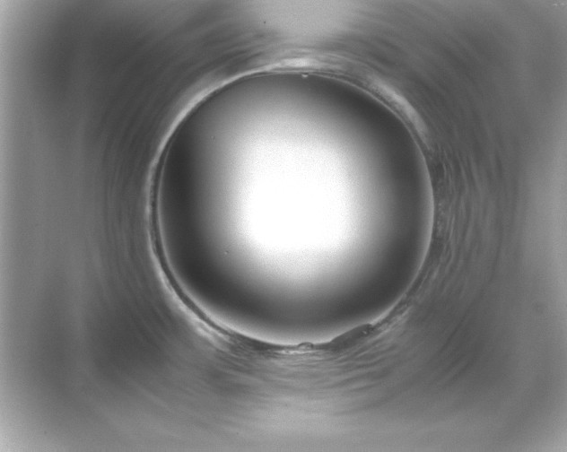 X0000071831483200607072157