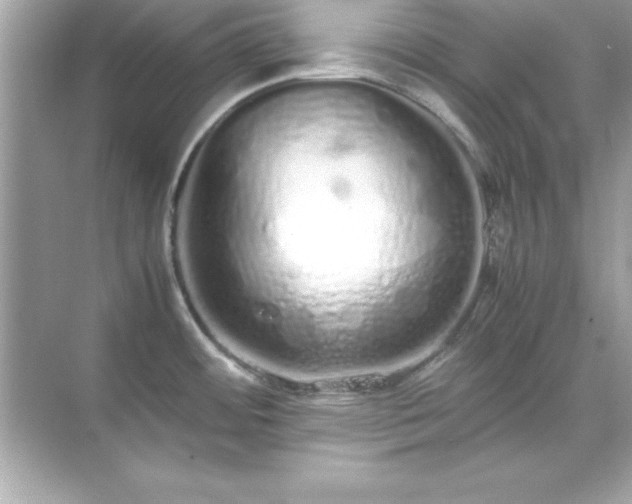 X0000071831484200607072157