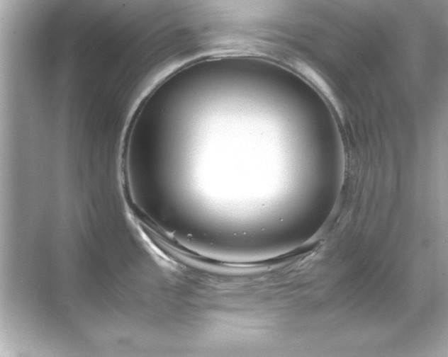 X0000071831485200607072157