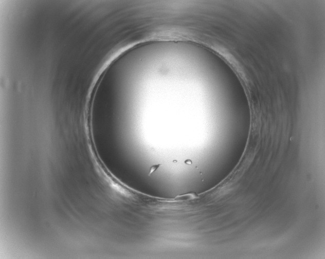 X0000071831486200607072157