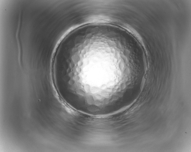 X0000071831488200607072157