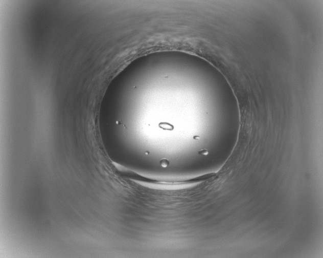 X0000071831489200607072156