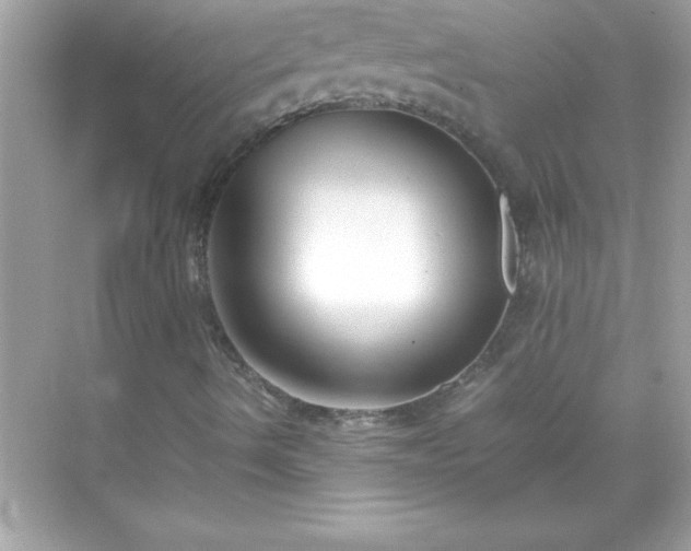 X0000071831490200607072156