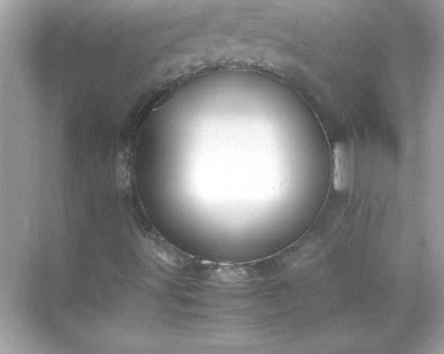 X0000071831491200607072156