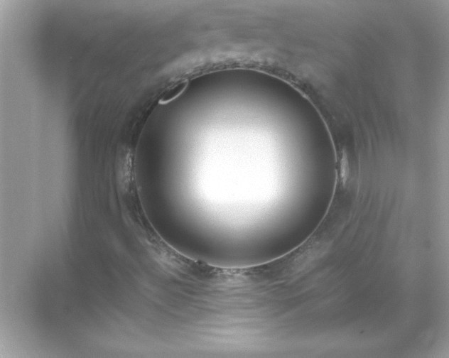 X0000071831492200607072156