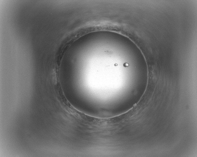 X0000071831493200607072156