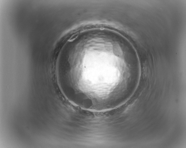 X0000071831494200607072156