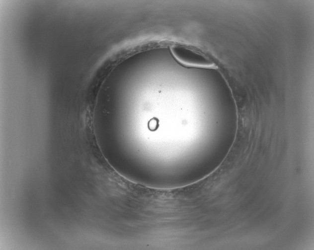 X0000071831495200607072156