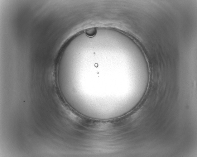 X0000071831498200607072156