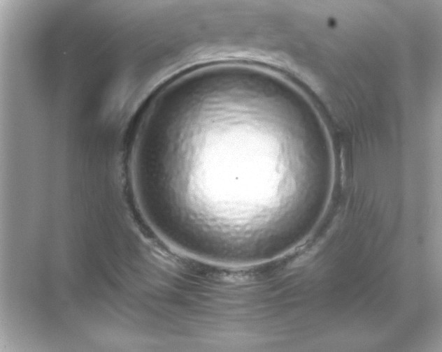 X0000071831501200607072156