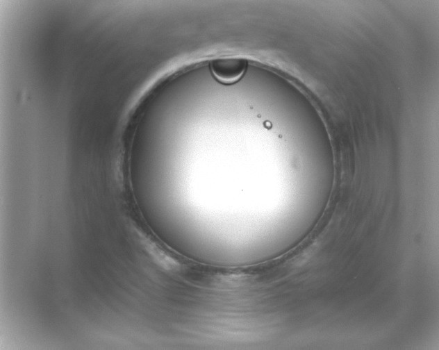 X0000071831502200607072156