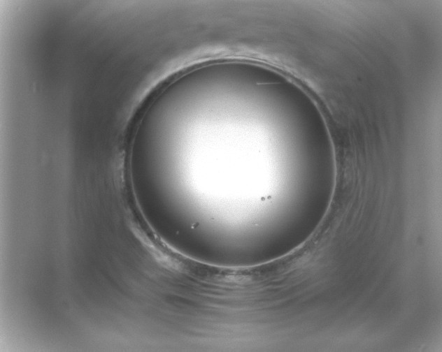 X0000071831503200607072156