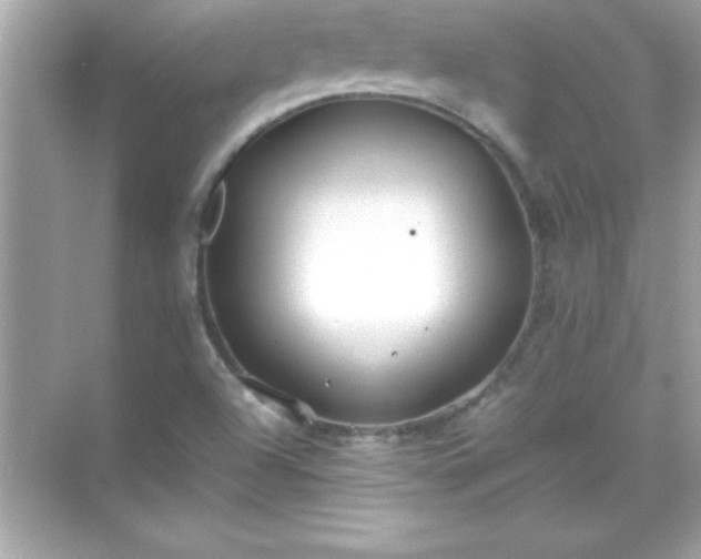 X0000071831504200607072156