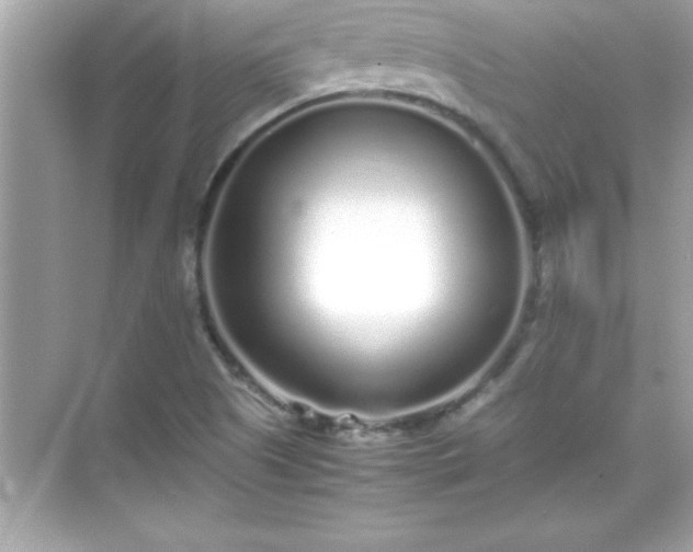 X0000071831505200607072156