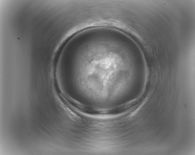 X0000071831506200607072156