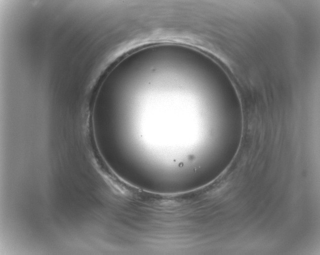 X0000071831507200607072156