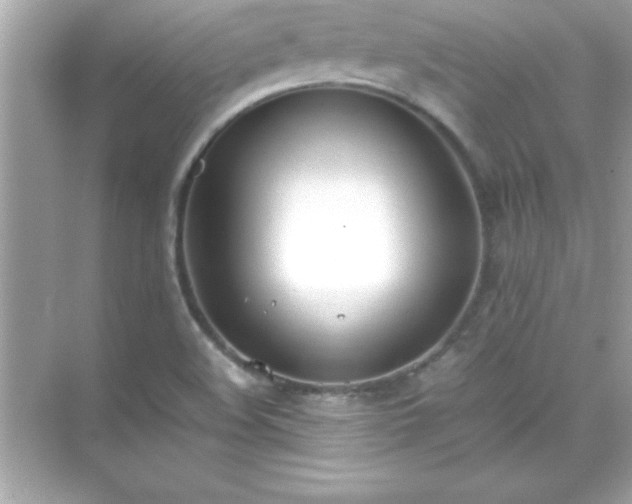 X0000071831508200607072156