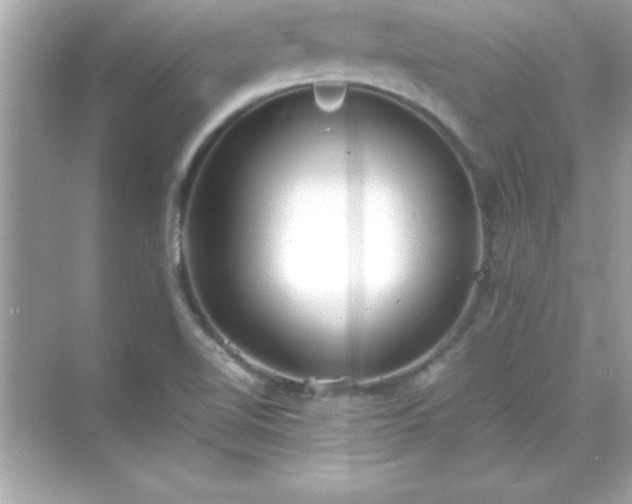 X0000071831510200607072156