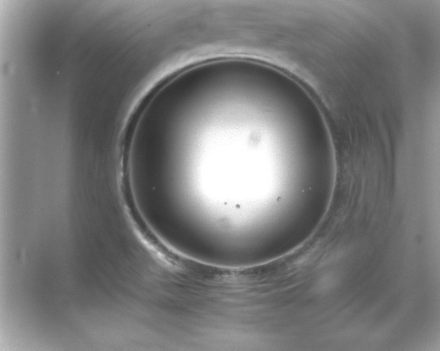 X0000071831511200607072156