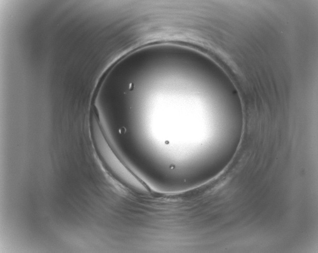 X0000071831513200607072156