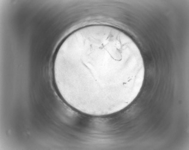 X0000071831514200607072156