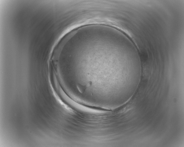 X0000071831515200607072156