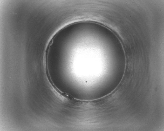 X0000071831516200607072156