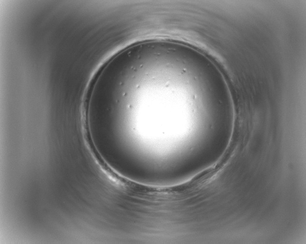 X0000071831517200607072156