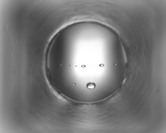 X0000071831518200607072156