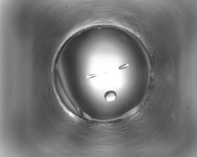 X0000071831519200607072156