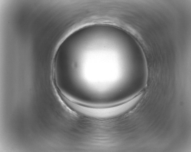 X0000071831520200607072156