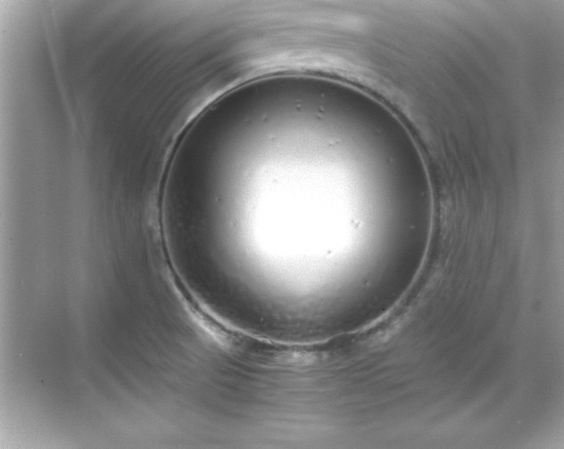 X0000071831521200607072156