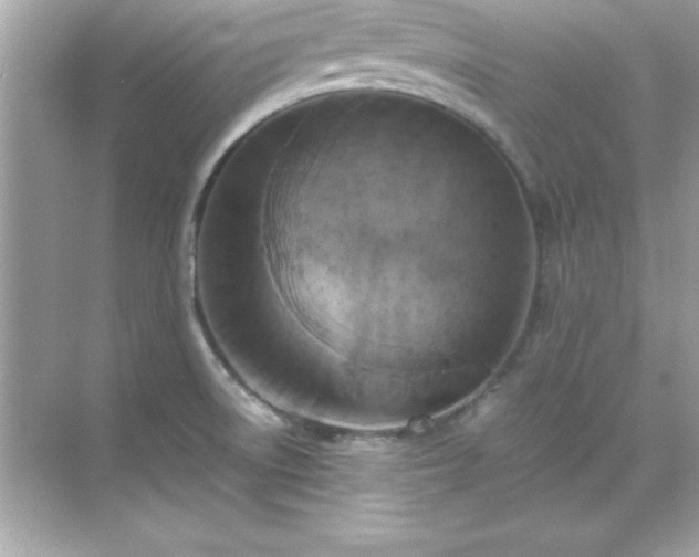 X0000071831522200607072156