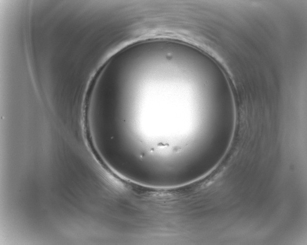 X0000071831525200607072156