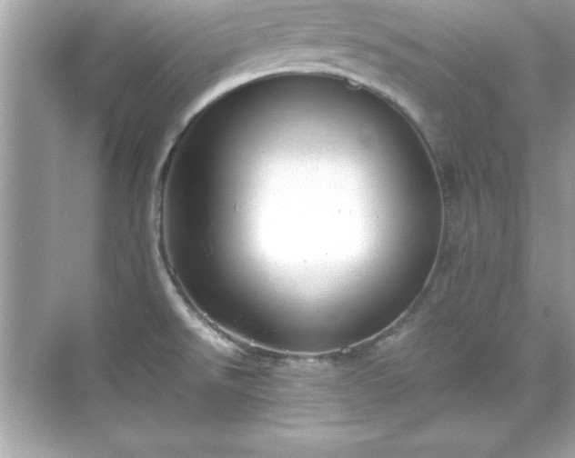 X0000071831526200607072156