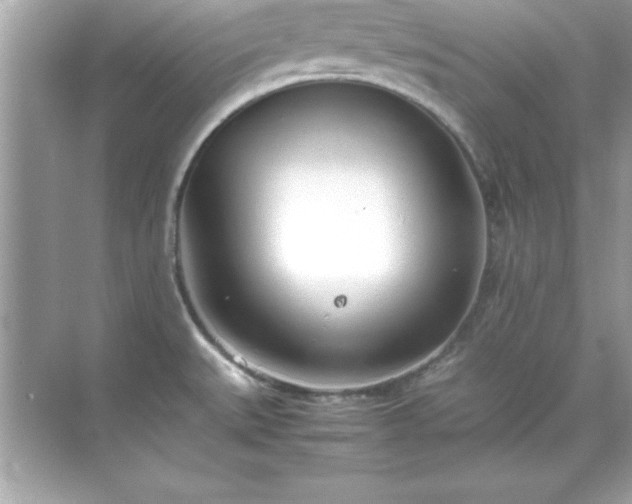 X0000071831527200607072156