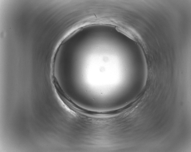 X0000071831528200607072156