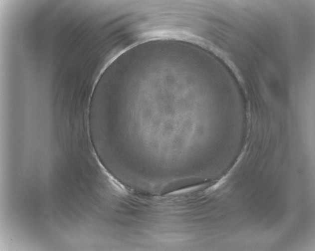 X0000071831529200607072156