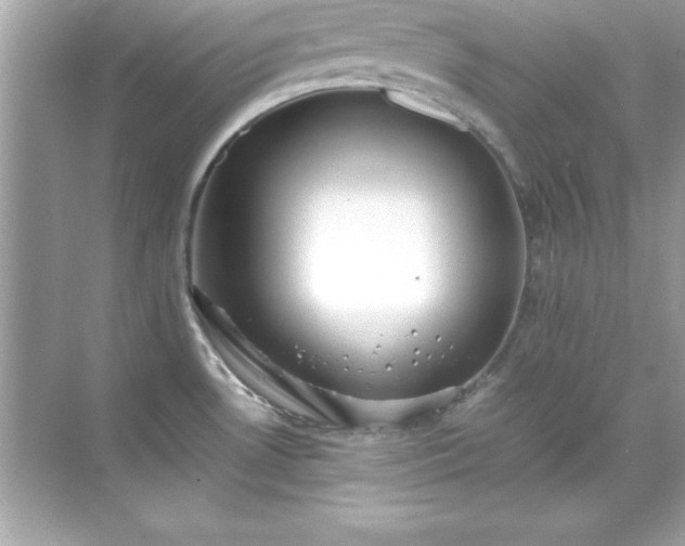 X0000071831530200607072156