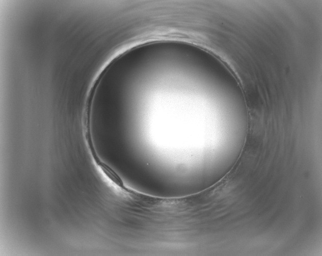 X0000071831531200607072156