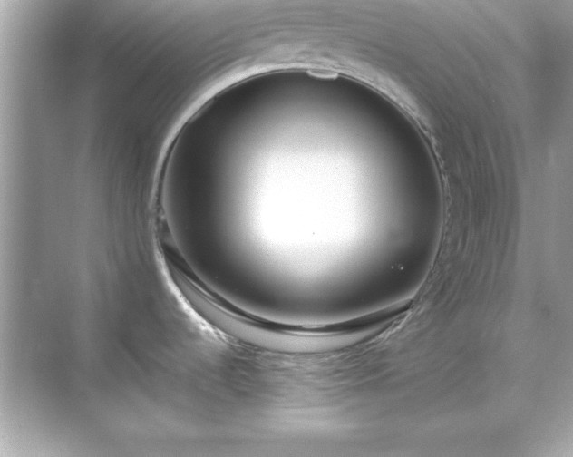 X0000071831536200607072157