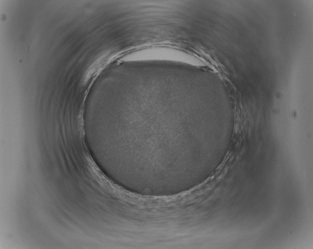 X0000071830002200607141712