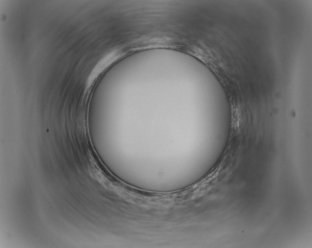 X0000071830004200607141712