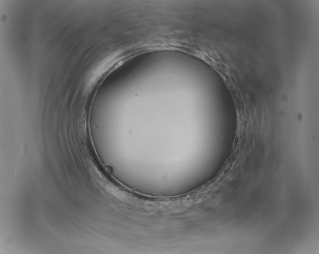 X0000071830005200607141712