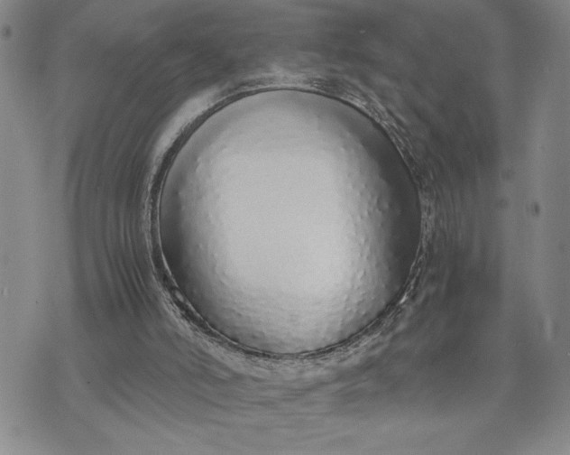 X0000071830006200607141712