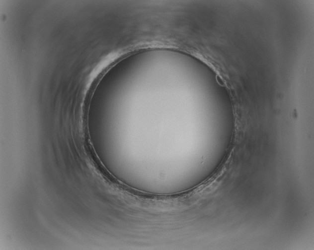 X0000071830008200607141712