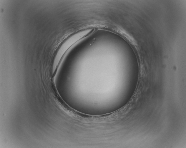 X0000071830009200607141712