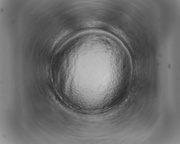 X0000071830010200607141712