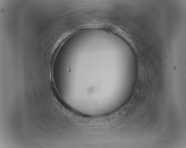 X0000071830011200607141712